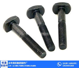 上海T型螺栓專業供應商 旺盈緊固件，金屬拉絲加工品質保障